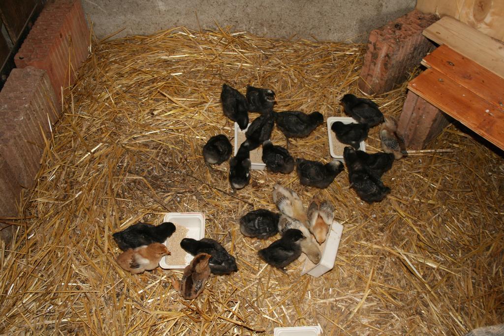 Malomdulo Farmhaz