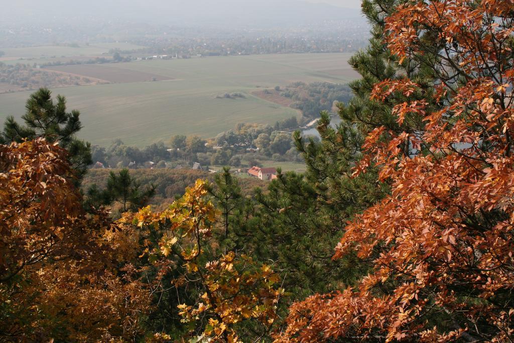 Malomdulo Farmhaz