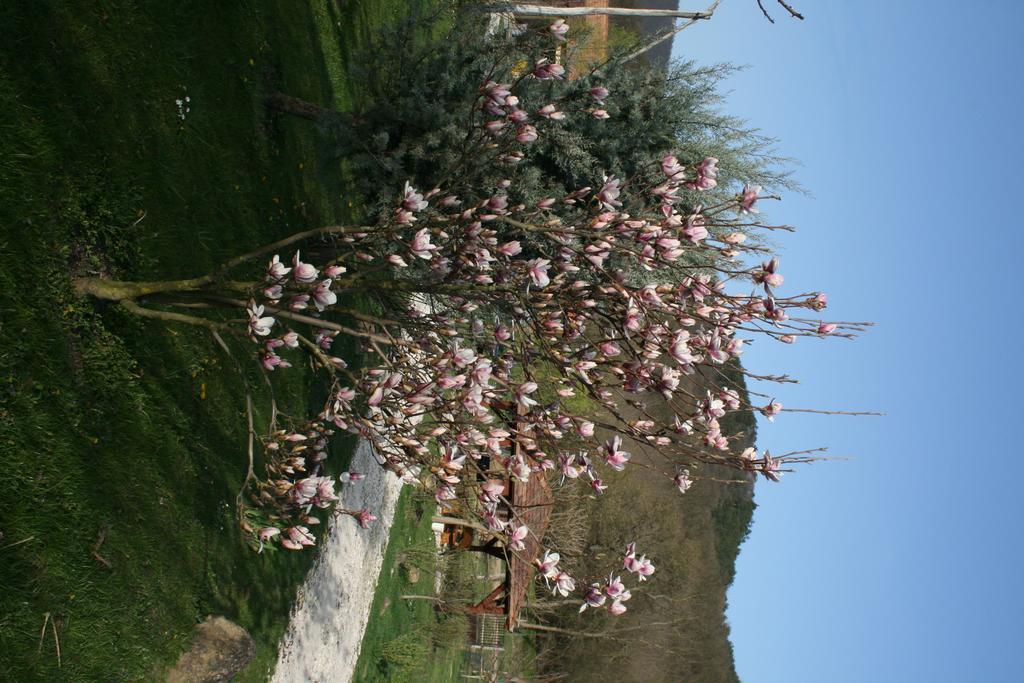 Malomdulo Farmhaz
