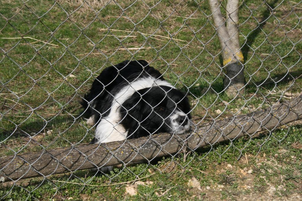Літній будинок Malomdulo Farmhaz *
