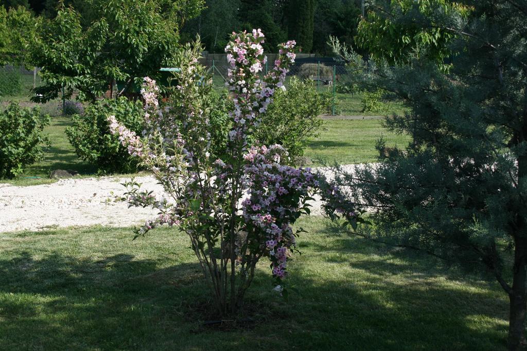 Літній будинок Malomdulo Farmhaz