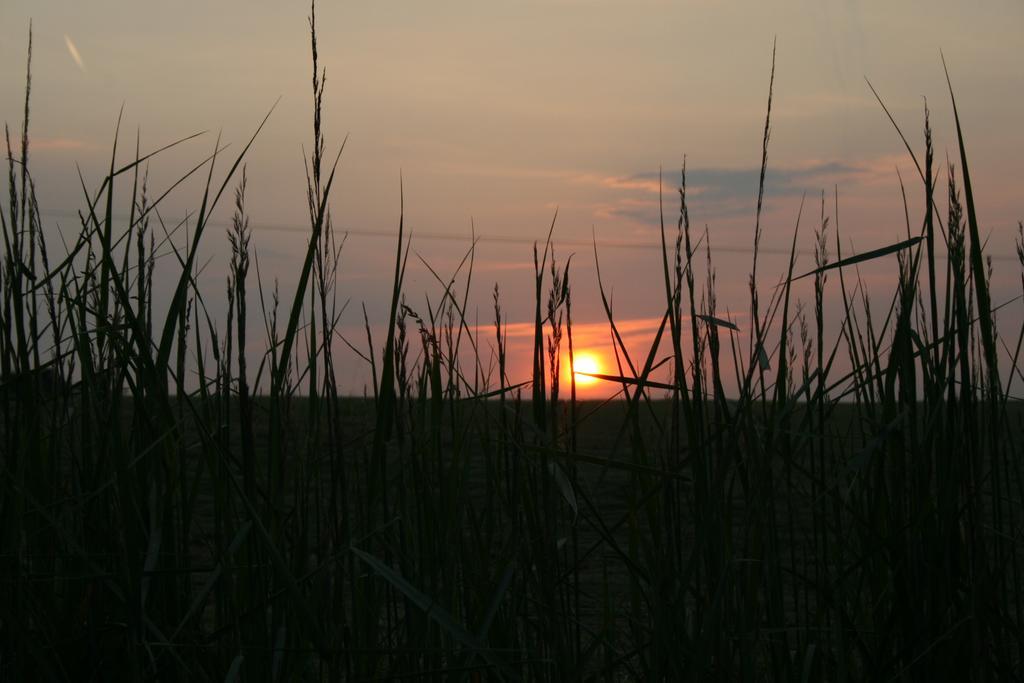 Malomdulo Farmhaz