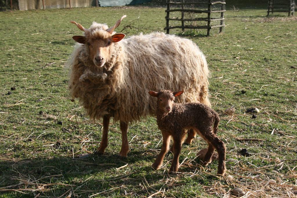 Malomdulo Farmhaz Pilisborosjenő